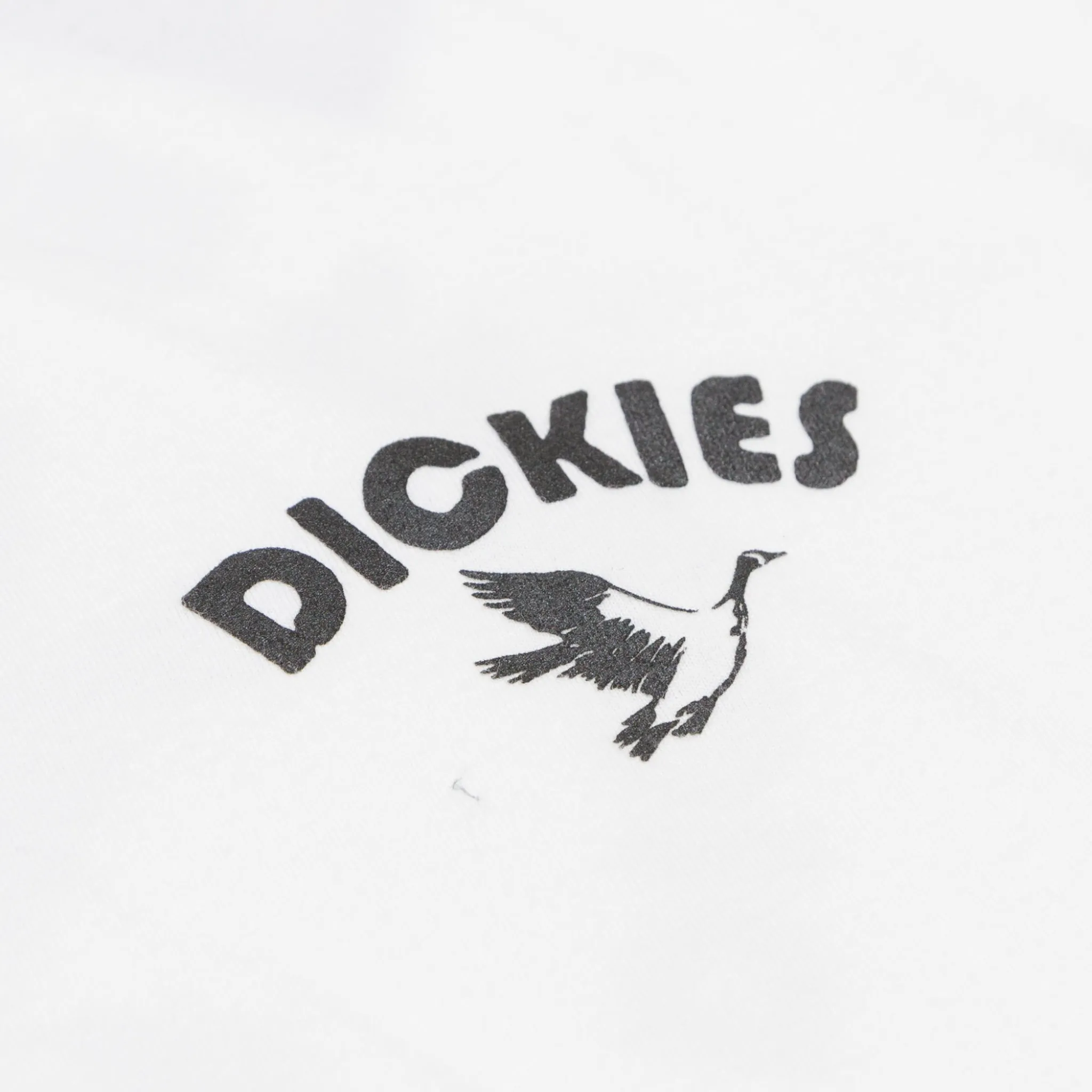 Dickies Goose T-Shirt - White