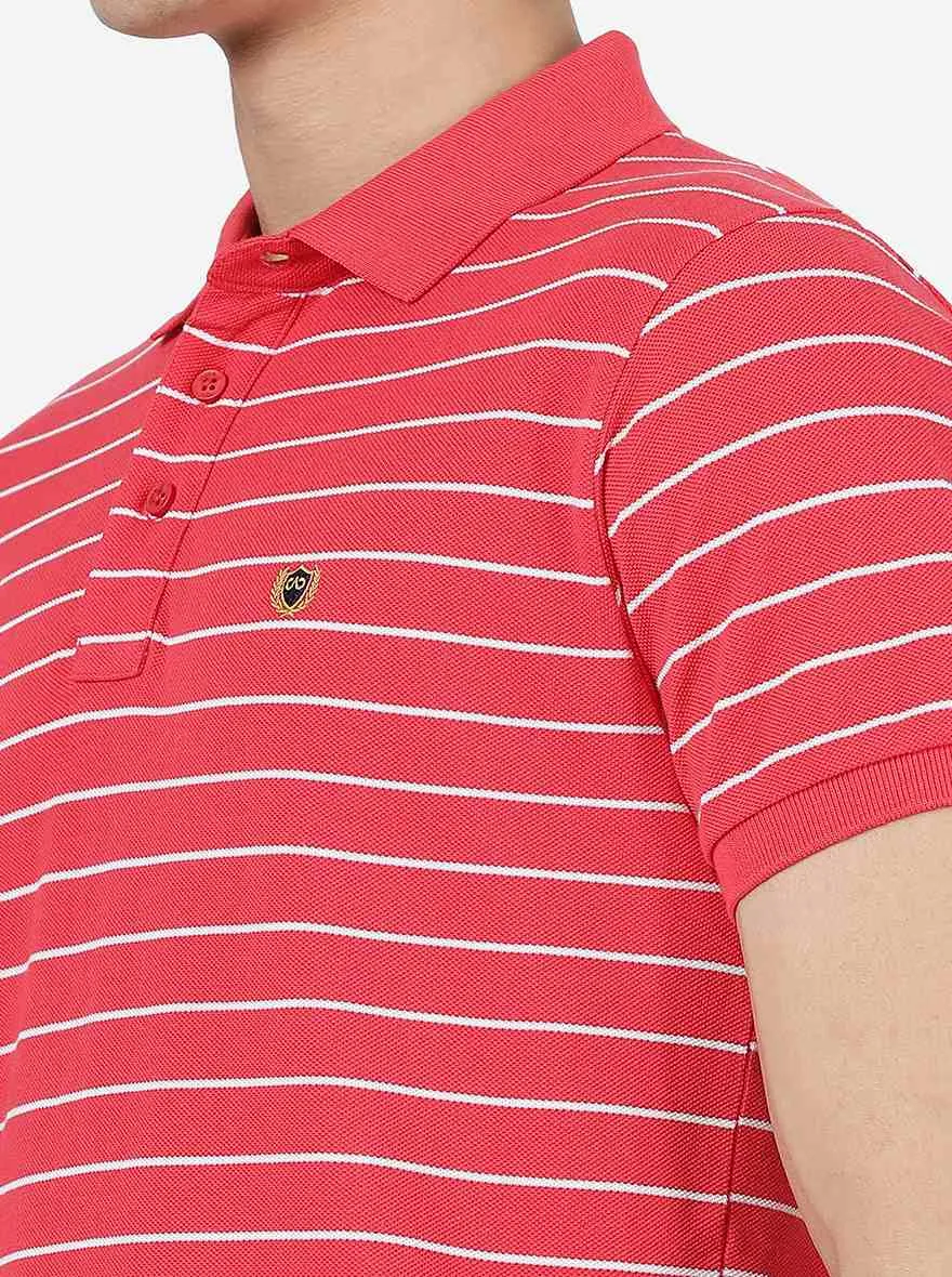 Pink & White Striped Slim Fit Polo T-Shirt | JadeBlue