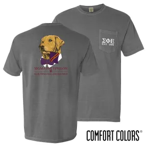 SigEp Comfort Colors Retriever Flag Tee